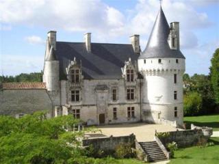 Chateau De Crazannes Exterior foto